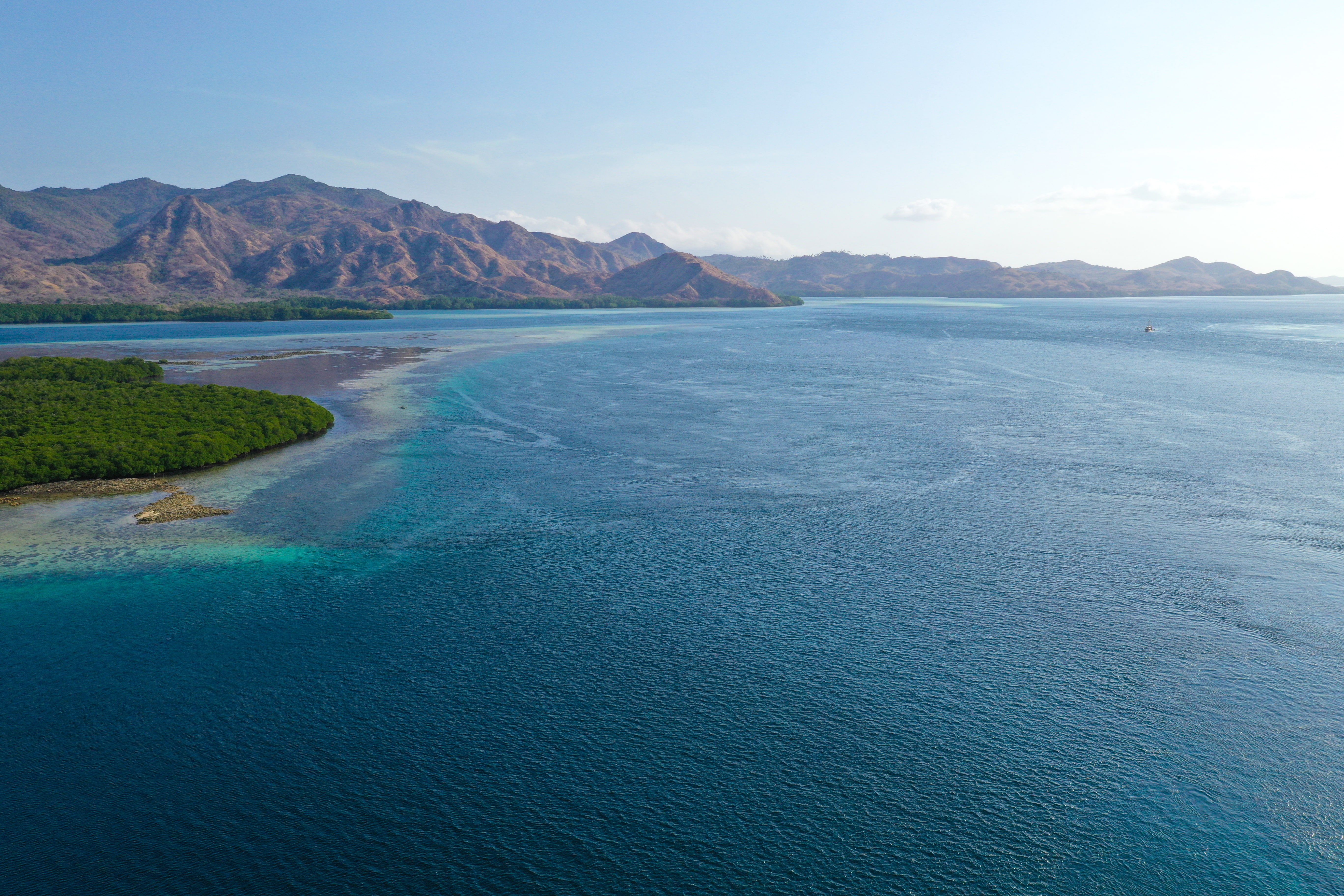 Oceano-Intelligenza-Artificiale